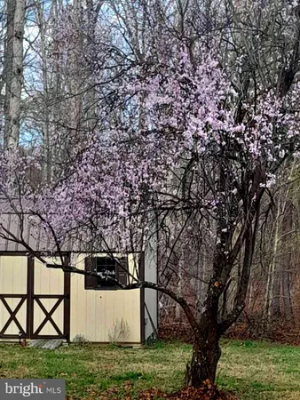 a view of backyard with green space