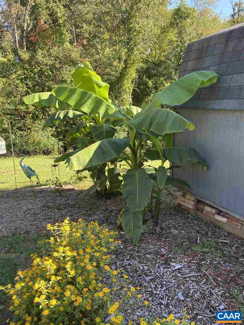 2422 Huntington Road Charlottesville, VA 22901 - Photo 46 of 49 a backyard of a house