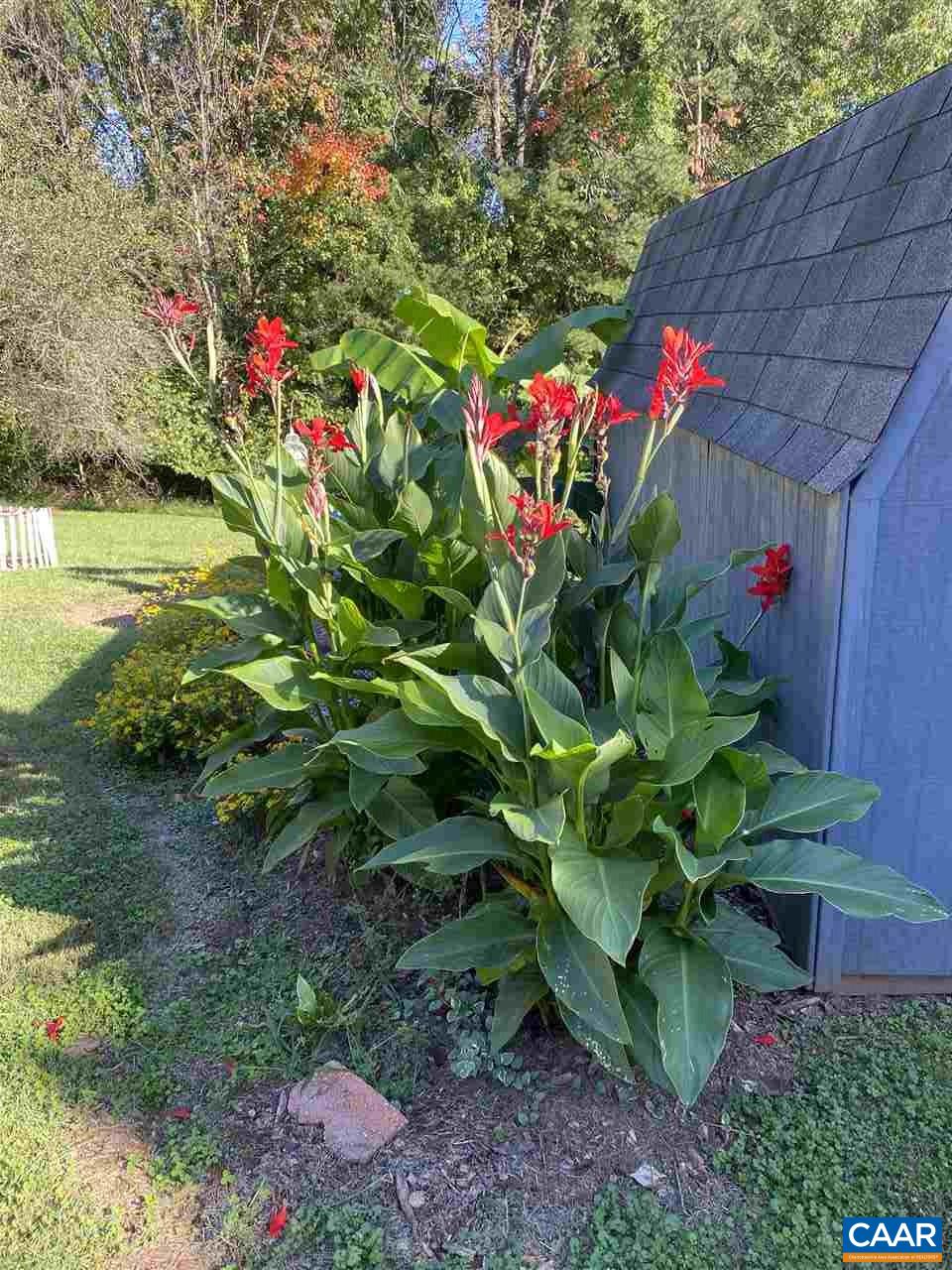 2422 Huntington Road Charlottesville, VA 22901 - Photo 47 of 49 a picture of flowers