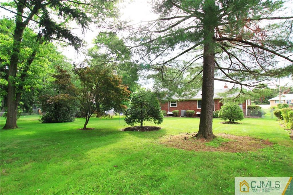 25 Academy Road Somerset, NJ 08873 - Photo 3 of 25 a view of a park with a tree