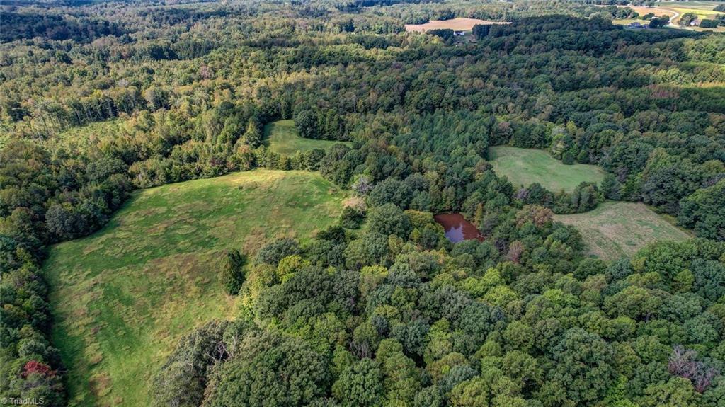 135 Davis Road Ruffin, NC 27326 - Photo 30 of 46