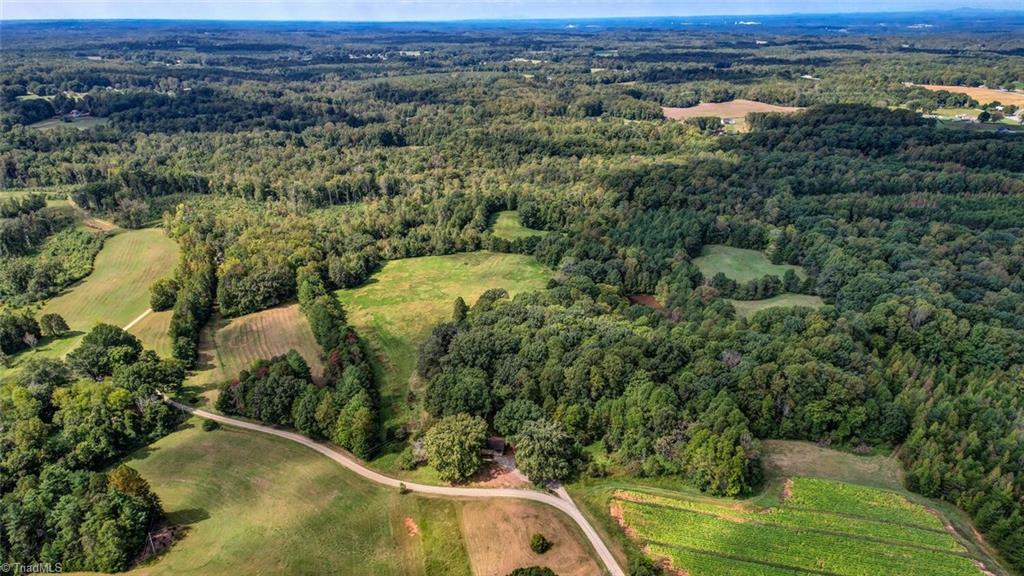 135 Davis Road Ruffin, NC 27326 - Photo 33 of 46