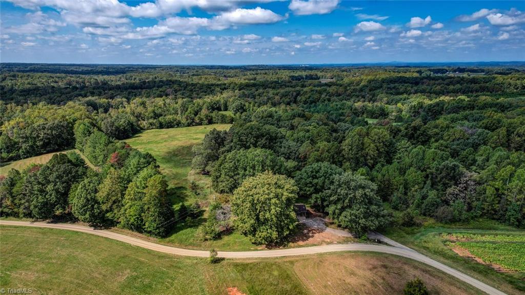 135 Davis Road Ruffin, NC 27326 - Photo 34 of 46