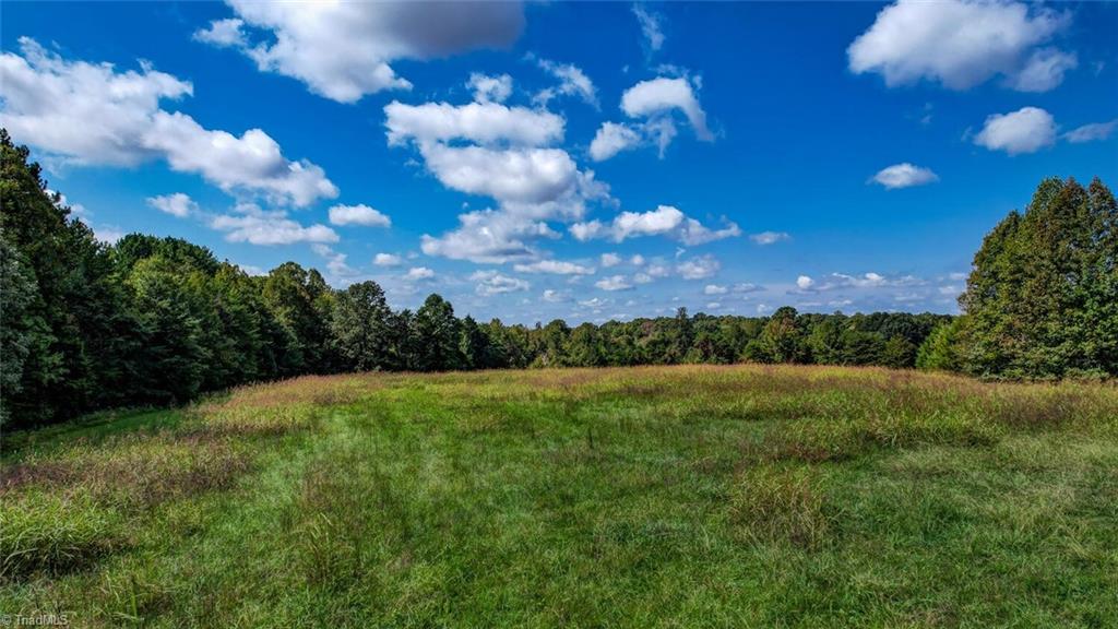 135 Davis Road Ruffin, NC 27326 - Photo 37 of 46