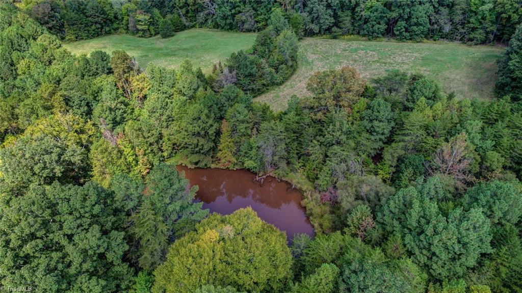 135 Davis Road Ruffin, NC 27326 - Photo 38 of 46