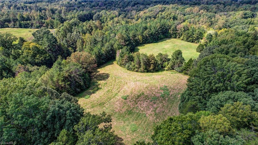 135 Davis Road Ruffin, NC 27326 - Photo 40 of 46