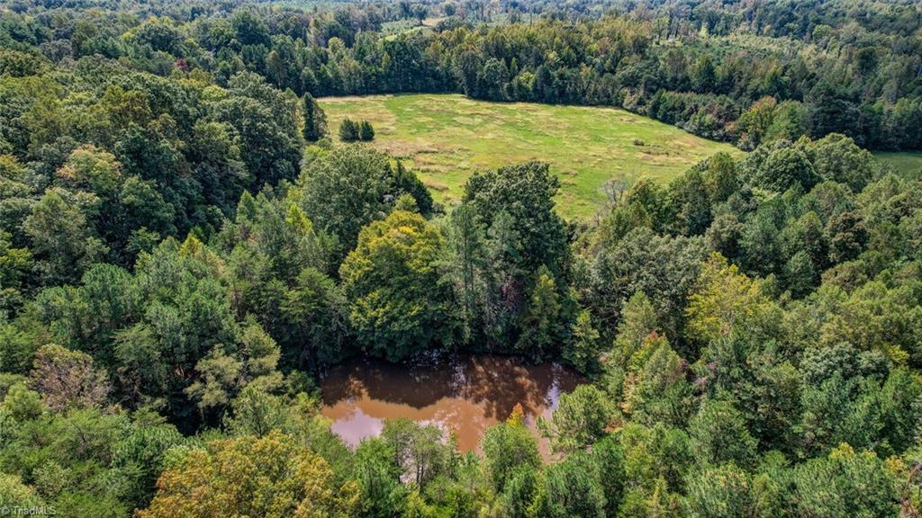 135 Davis Road Ruffin, NC 27326 - Photo 41 of 46