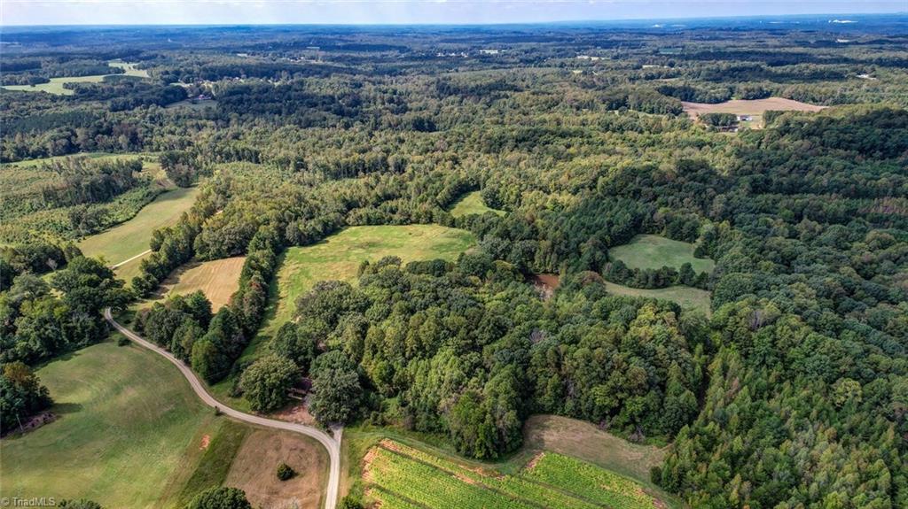 135 Davis Road Ruffin, NC 27326 - Photo 46 of 46