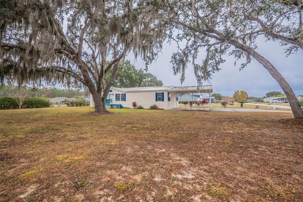 37510 Quail Ridge Circle Leesburg, FL 34788 - Photo 2 of 43 a white house that has a tree in front of it