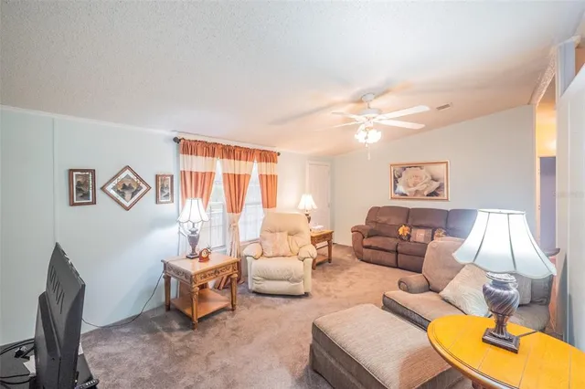 a living room with furniture ceiling fan and a rug