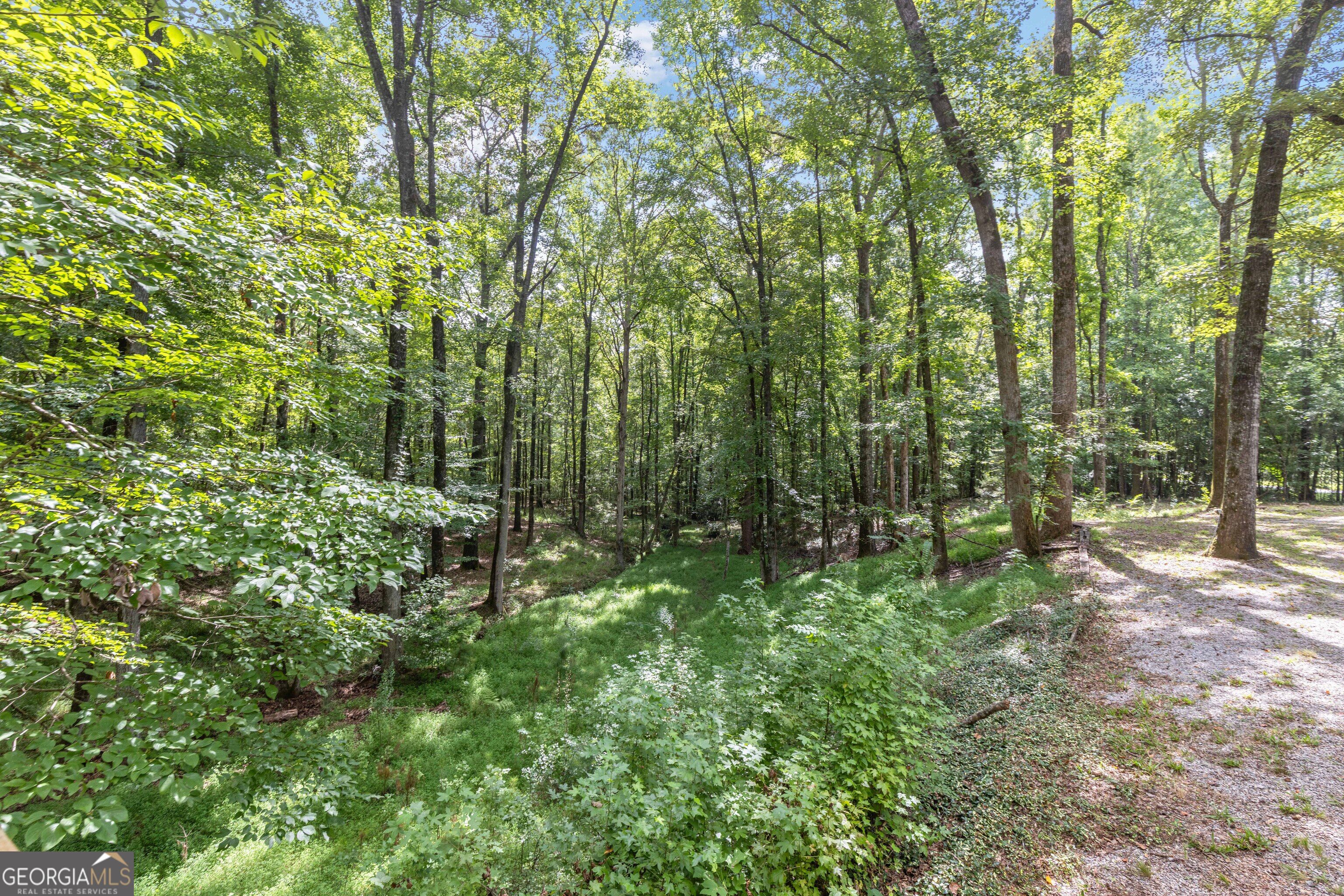 1011 Mountain Hill Road Fortson, GA 31808 - Photo 22 of 26 Gallery Image 22