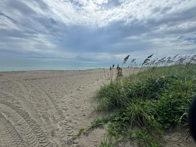 a view of a lake with houses in back