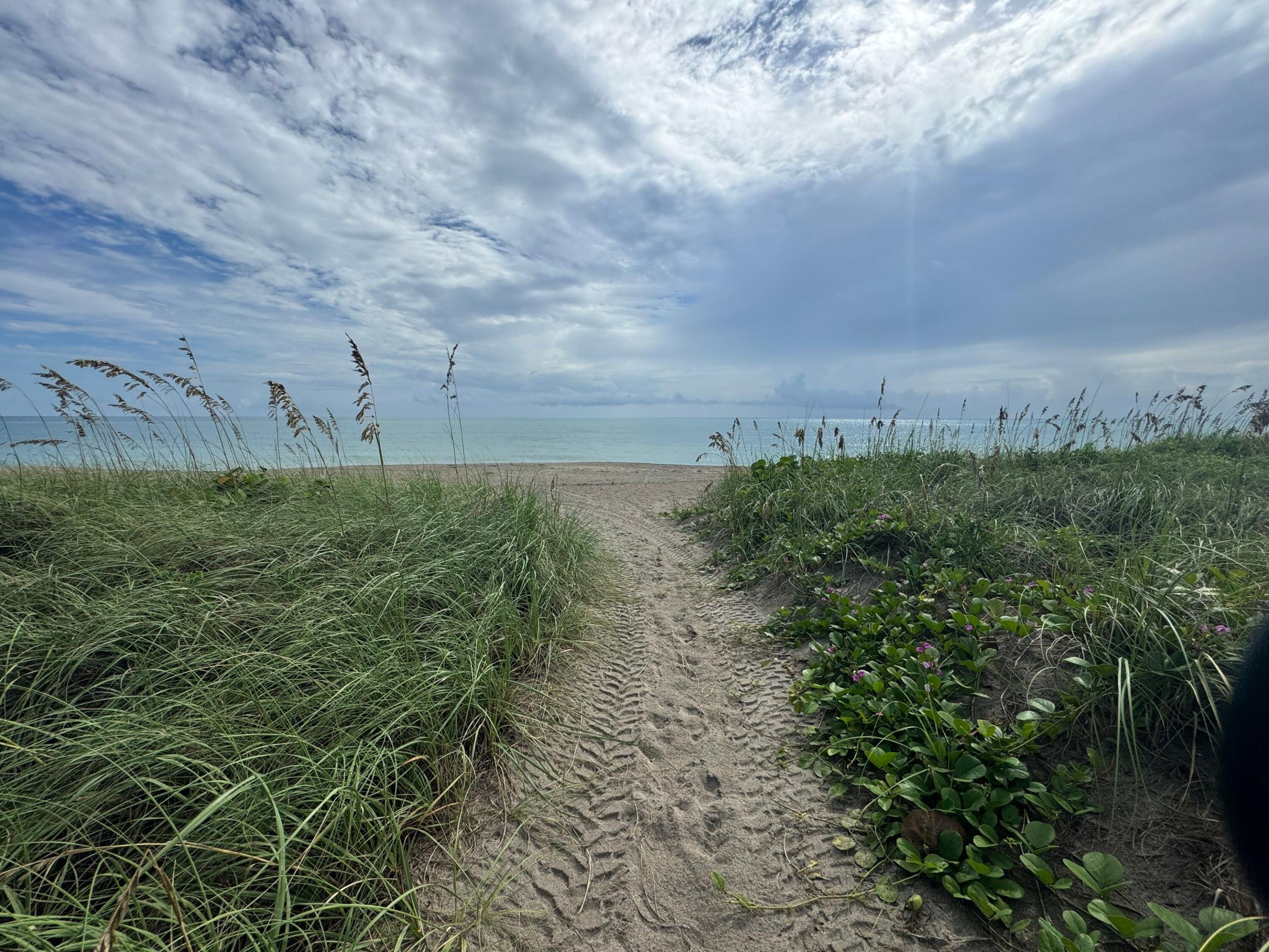 1115 South Ocean Drive, Unit 1 Fort Pierce, FL 34949 - Photo 10 of 48 a view of a big yard with plants and large trees