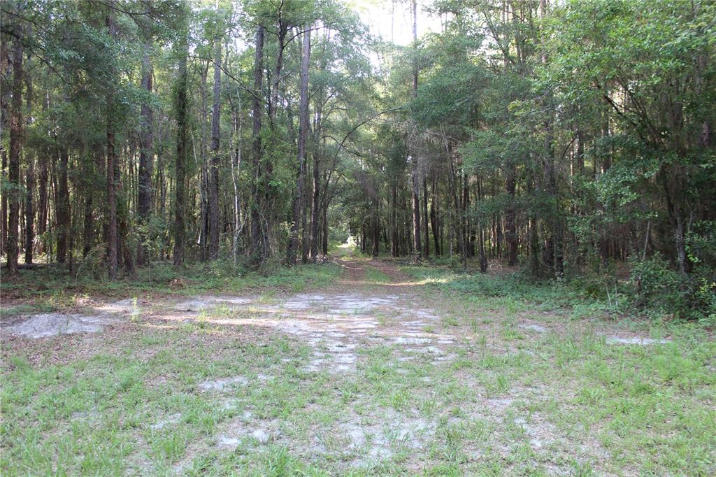 15821 Redbird Road Archer, FL 32618 - Photo 13 of 22