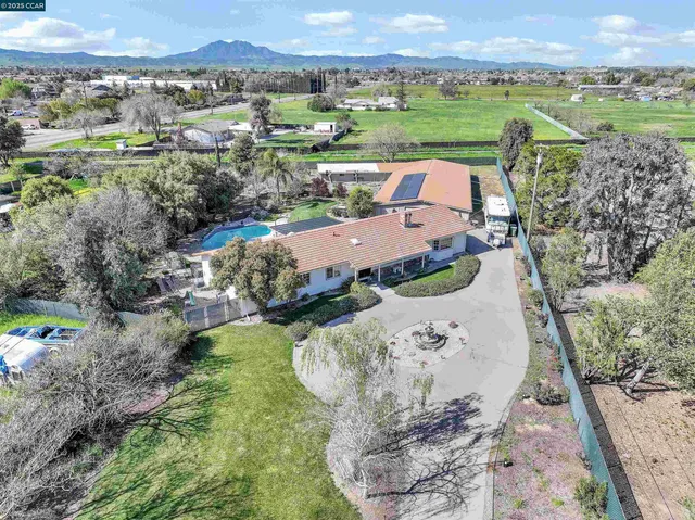 a view of a dining room with furniture and a potted plant