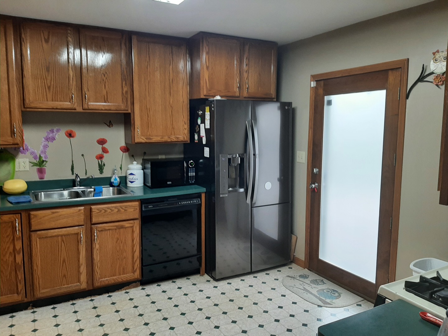 313 Grove Street Creston, IL 60113 - Photo 5 of 17