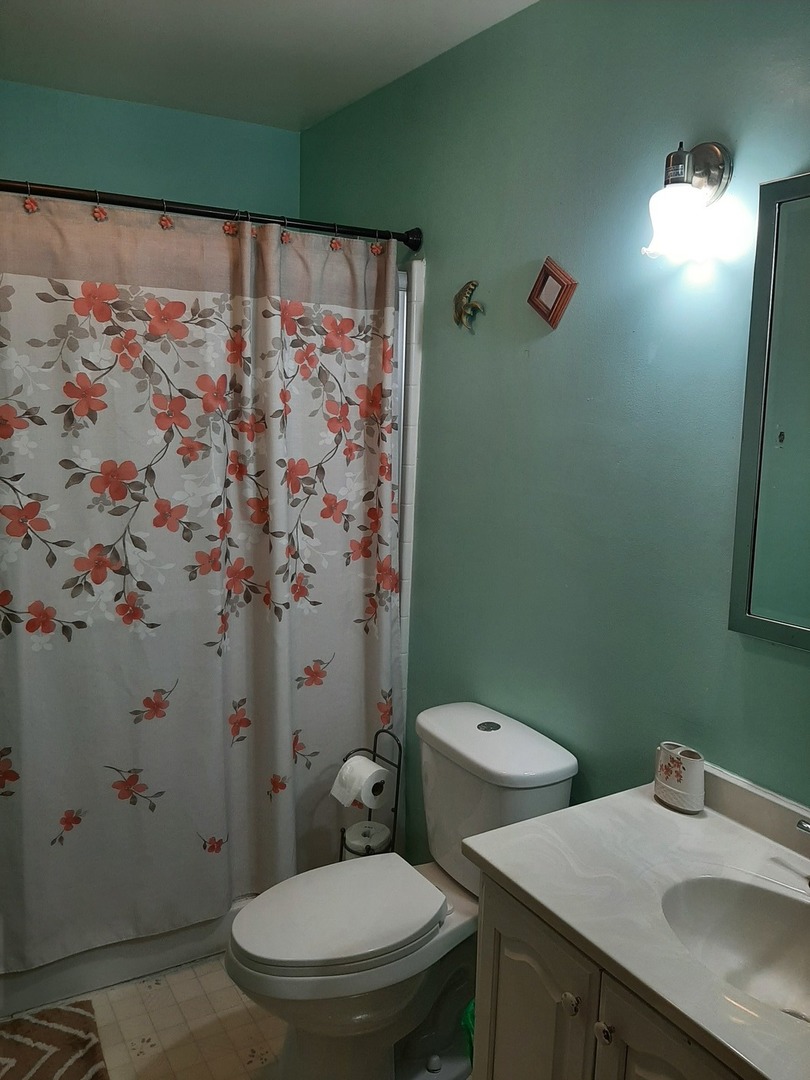 313 Grove Street Creston, IL 60113 - Photo 8 of 17