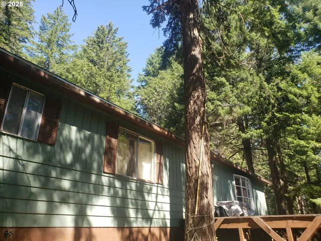 a backyard of a house with lots of green space