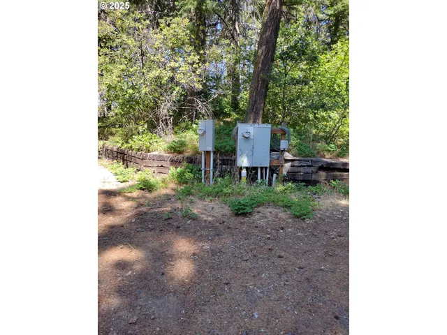 a view of a pathway of a yard