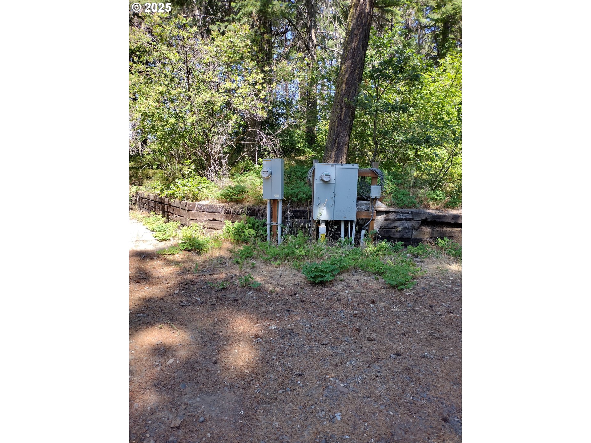 70 Appleton Road Lyle, WA 98635 - Photo 9 of 15 a view of a bench under a tree