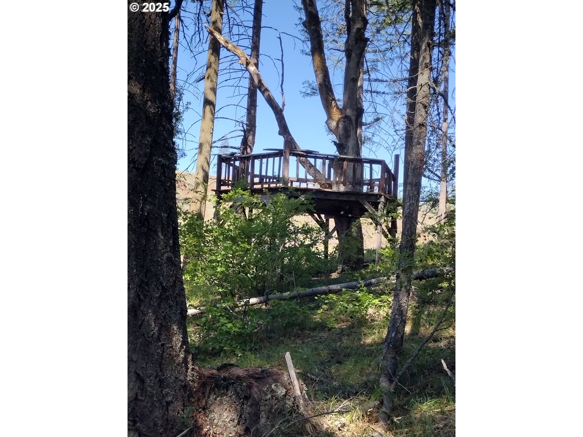 70 Appleton Road Lyle, WA 98635 - Photo 10 of 15 a view of a pathway of a yard