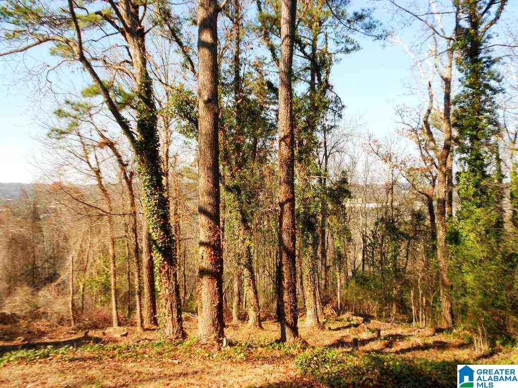 1140 Shades Crest Road Hoover, AL 35226 - Photo 38 of 38 Gallery Image 38