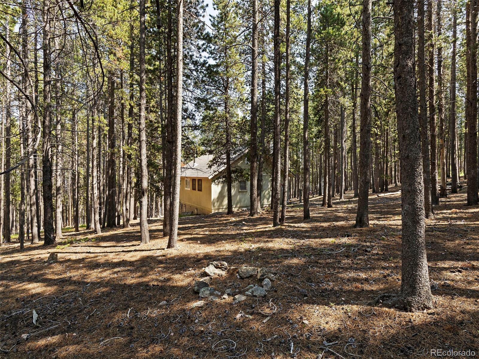 267 Deer Road Evergreen, CO 80439 - Photo 24 of 25 Gallery Image 24
