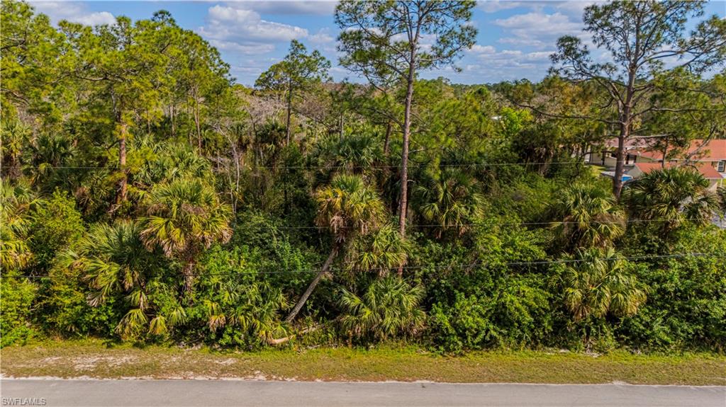 320 3rd Street Northwest Naples, FL 34120 - Photo 12 of 12 View of local wilderness