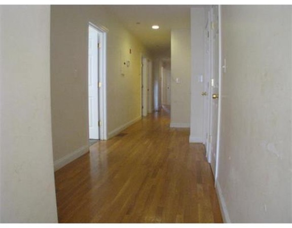 121 Homestead Street, Unit 1 Boston, MA 02121 - Photo 4 of 7