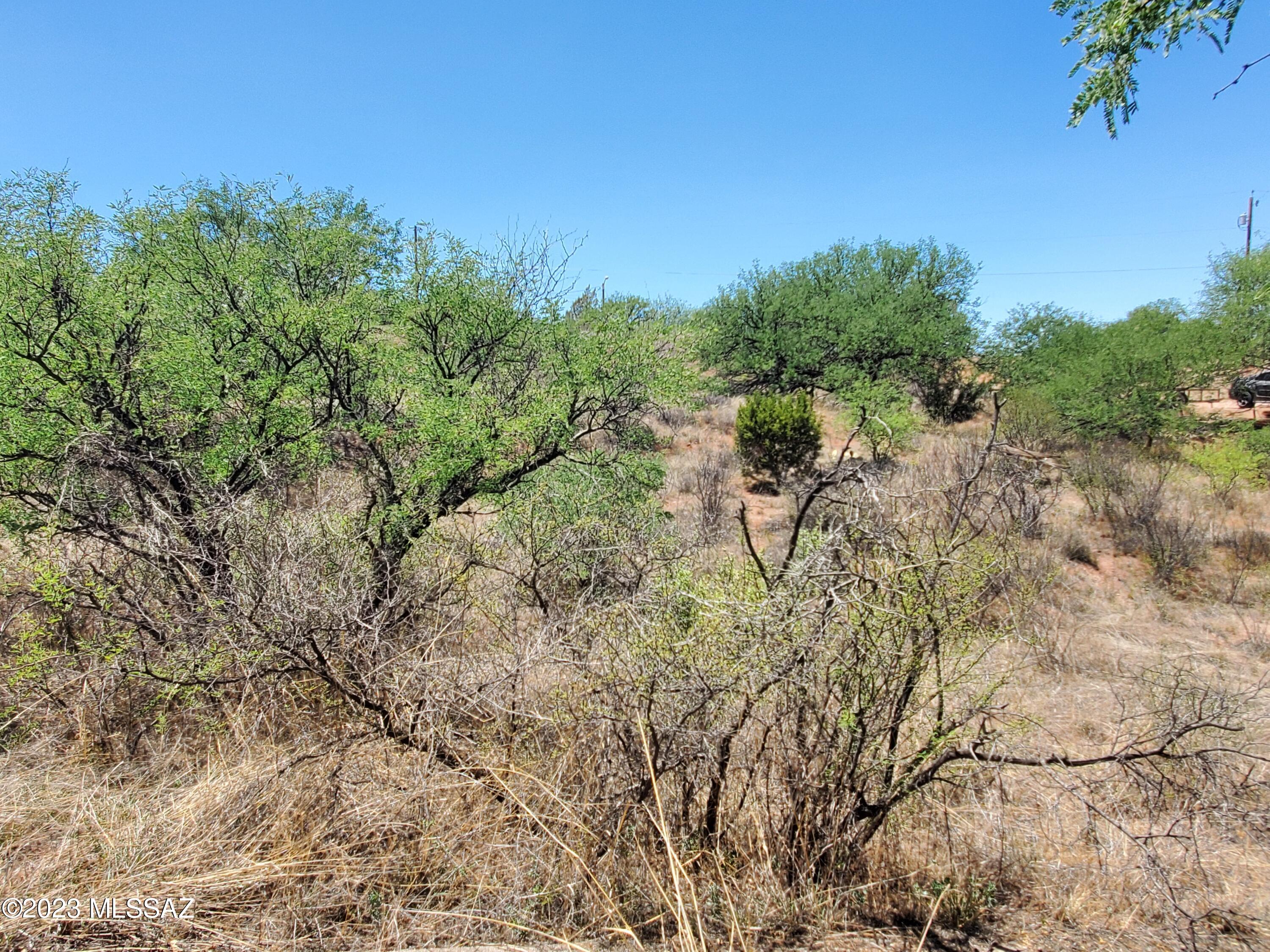 887 Paseo Los Mochis, Unit 9 Rio Rico, AZ 85648 - Photo 14 of 16