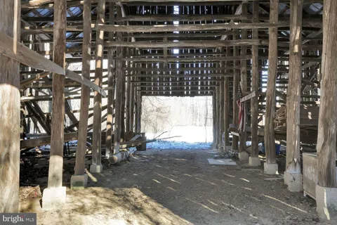 a view of a tree in front of a building