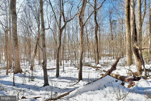 $1,500,000 | 13729 Martin Road, Brandywine, MD 20613