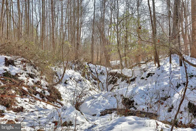 $1,500,000 | 13729 Martin Road, Brandywine, MD 20613