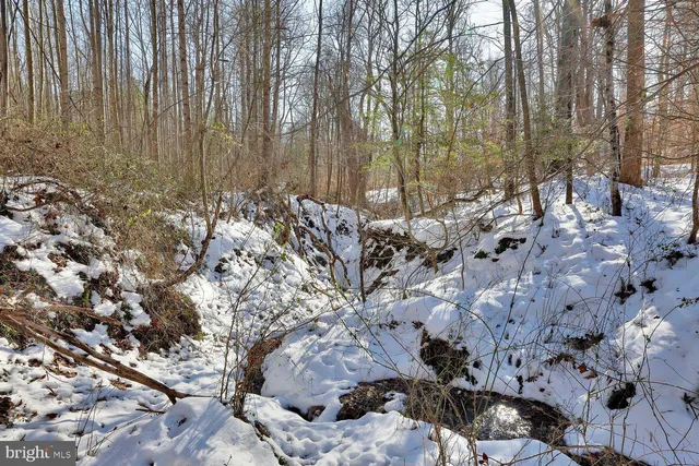 $1,500,000 | 13729 Martin Road, Brandywine, MD 20613