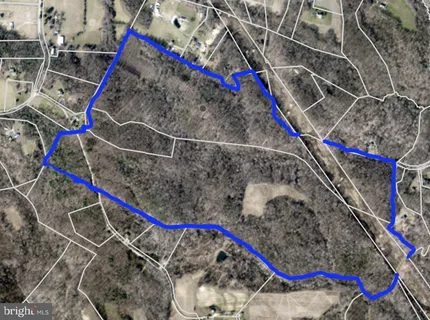 a view of a forest with a small yard