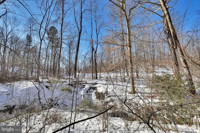 $1,500,000 | 13729 Martin Road, Brandywine, MD 20613