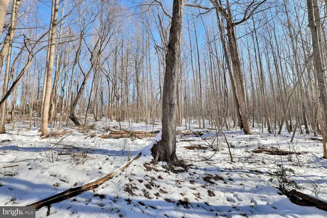 $1,500,000 | 13729 Martin Road, Brandywine, MD 20613