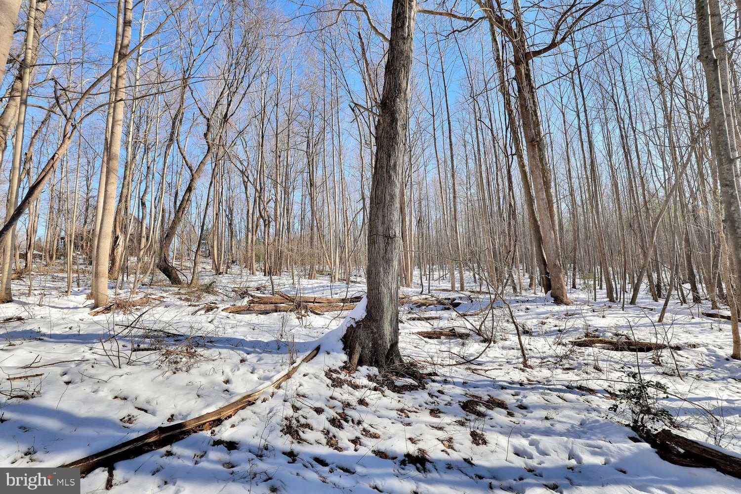 13729 Martin Road Brandywine, MD 20613 - Photo 22 of 26 a view of a road with wooden fence