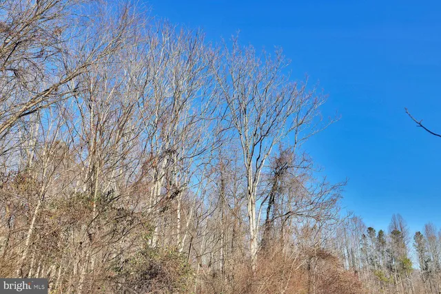 $1,500,000 | 13729 Martin Road, Brandywine, MD 20613