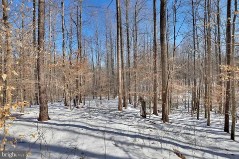 $1,500,000 | 13729 Martin Road, Brandywine, MD 20613