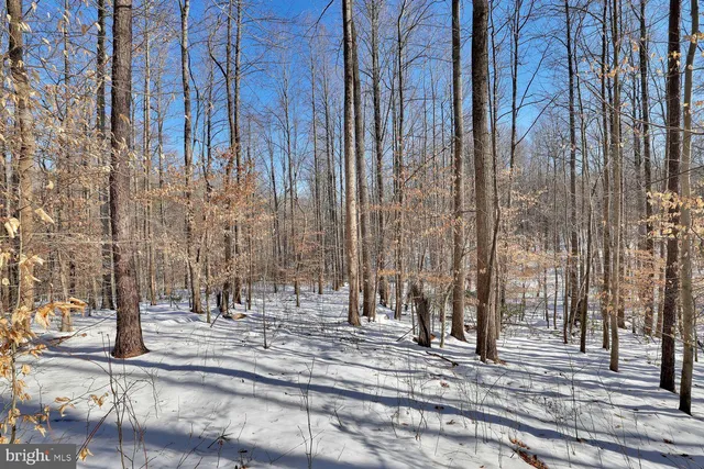 $1,500,000 | 13729 Martin Road, Brandywine, MD 20613