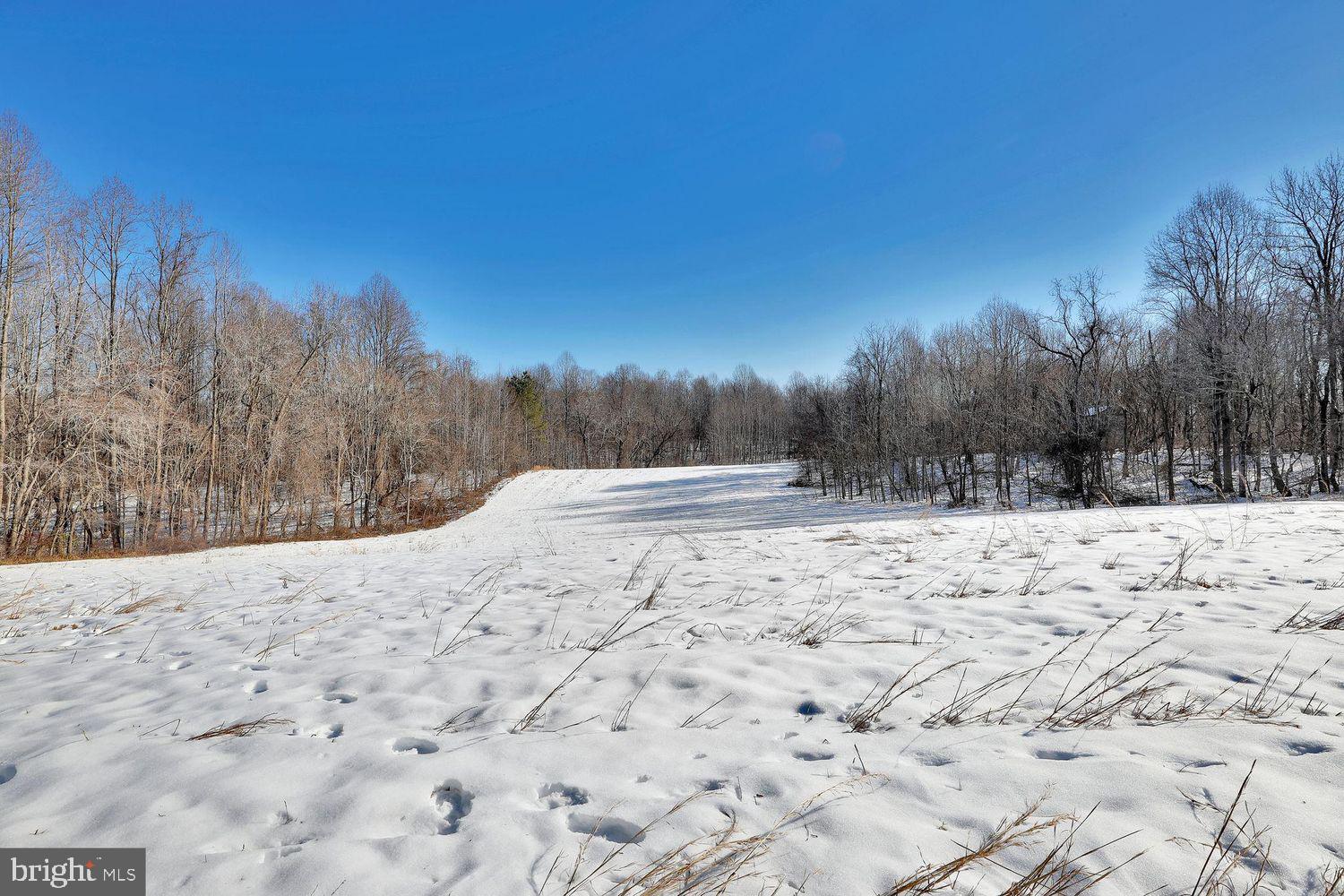 13729 Martin Road Brandywine, MD 20613 - Photo 25 of 26 a view of outdoor space yard and trees