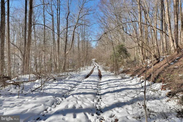 $1,500,000 | 13729 Martin Road, Brandywine, MD 20613