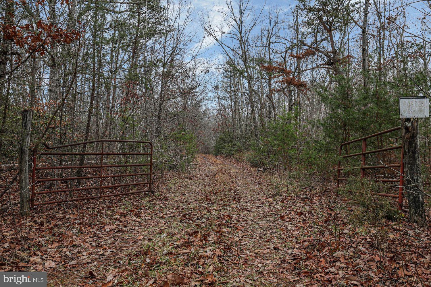 13729 Martin Road Brandywine, MD 20613 - Photo 5 of 26 a view of a yard with wooden fence