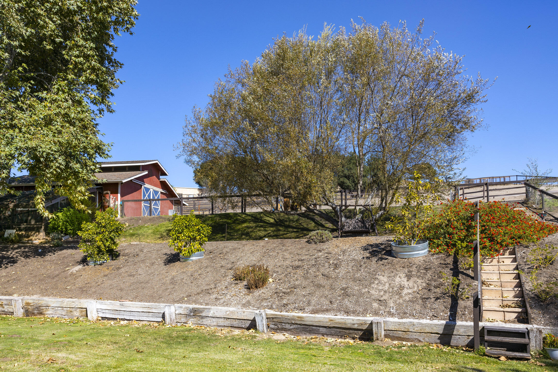 1833 Cougar Ridge Road Buellton, CA 93427 - Photo 28 of 53 Backyard 3