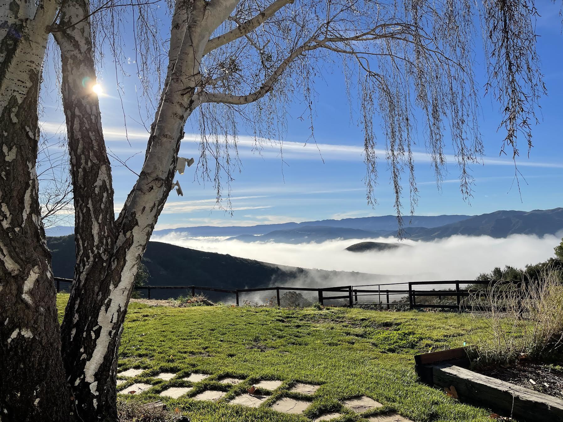 1833 Cougar Ridge Road Buellton, CA 93427 - Photo 39 of 53 1