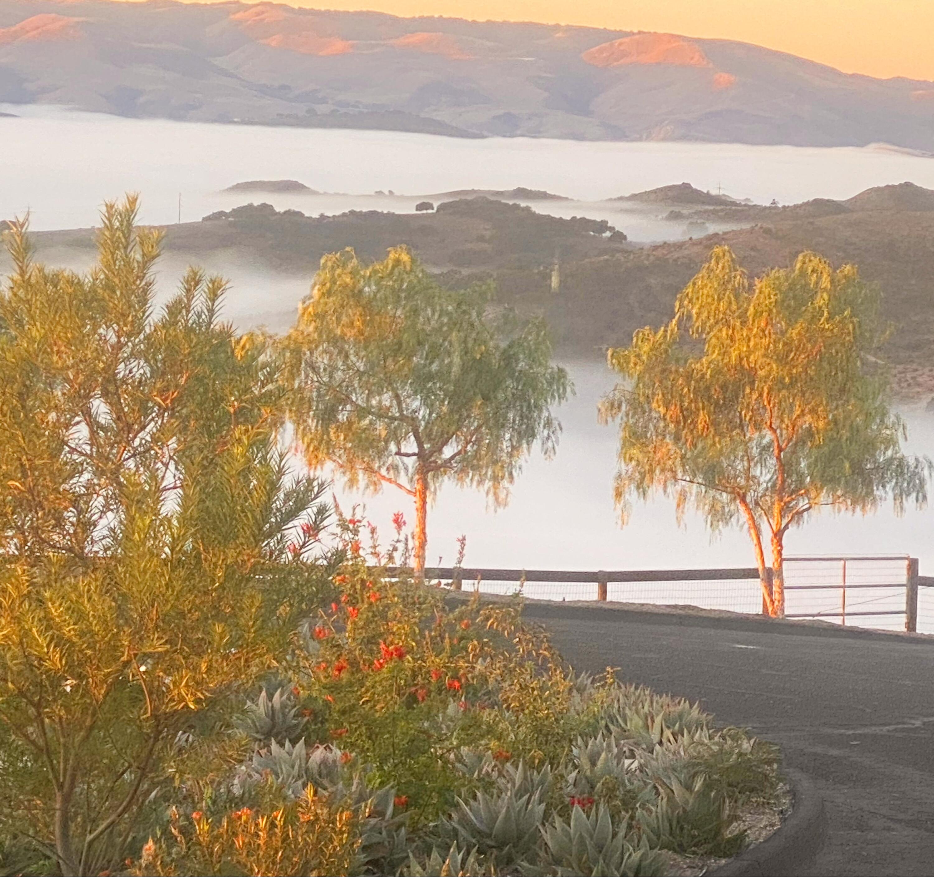 1833 Cougar Ridge Road Buellton, CA 93427 - Photo 40 of 53 2