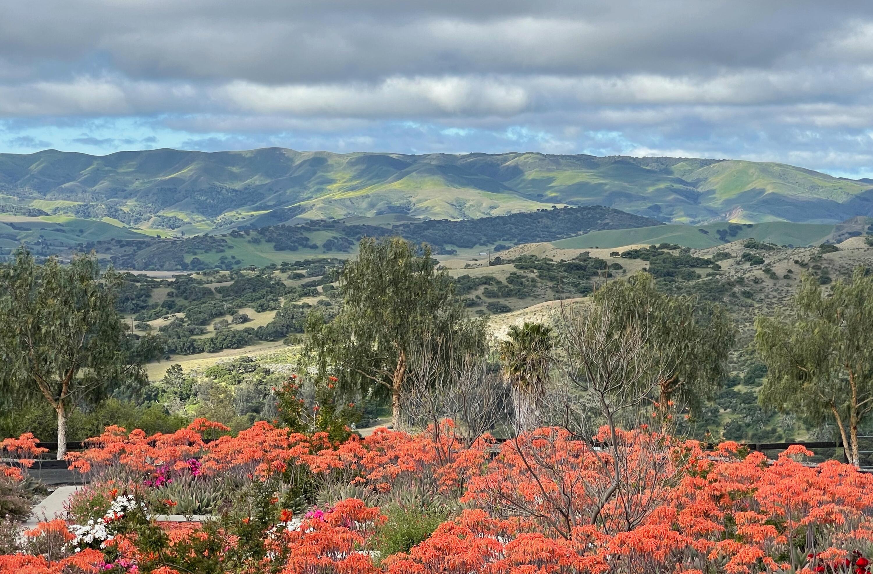 1833 Cougar Ridge Road Buellton, CA 93427 - Photo 42 of 53 4