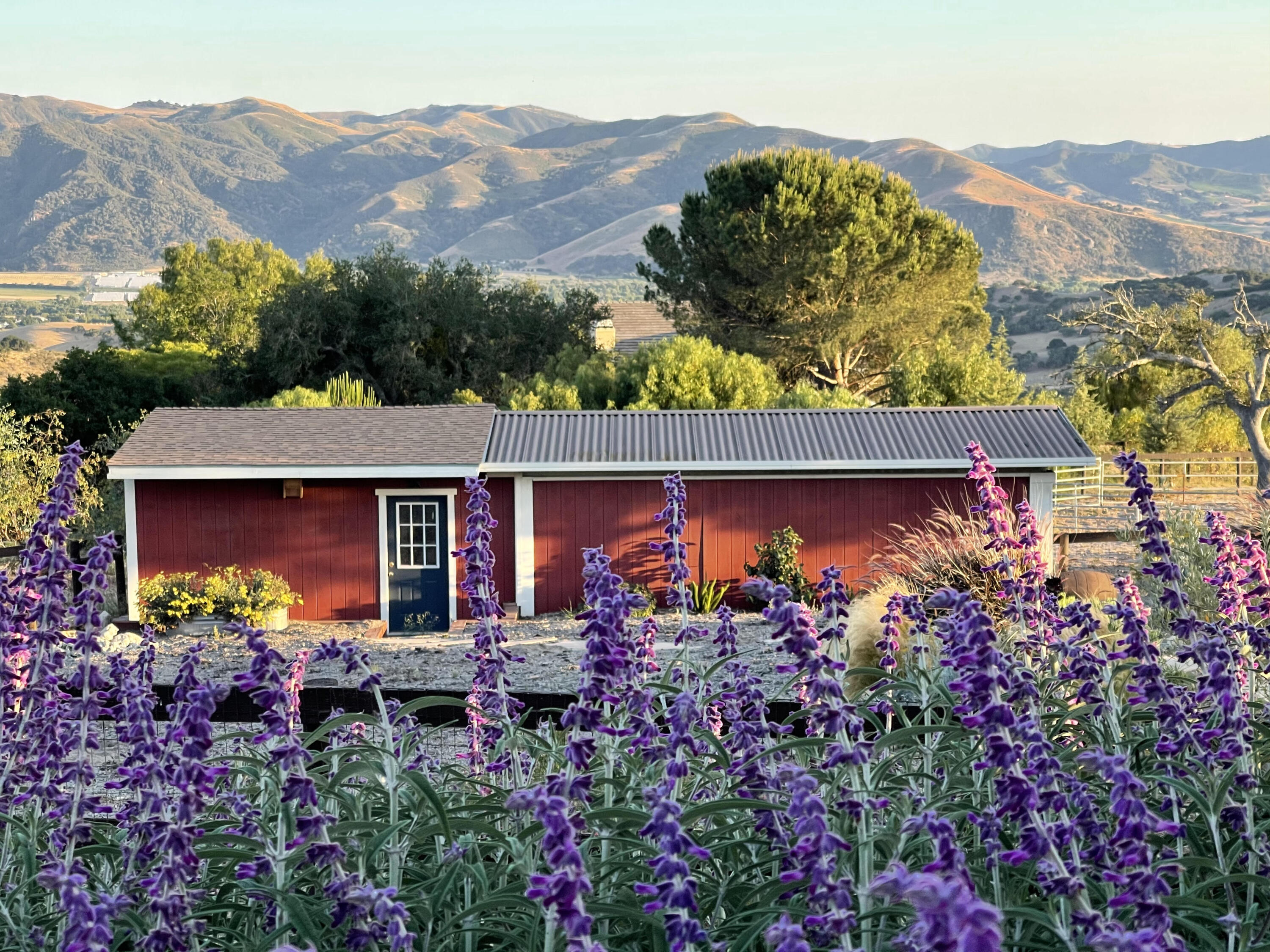 1833 Cougar Ridge Road Buellton, CA 93427 - Photo 44 of 53 6