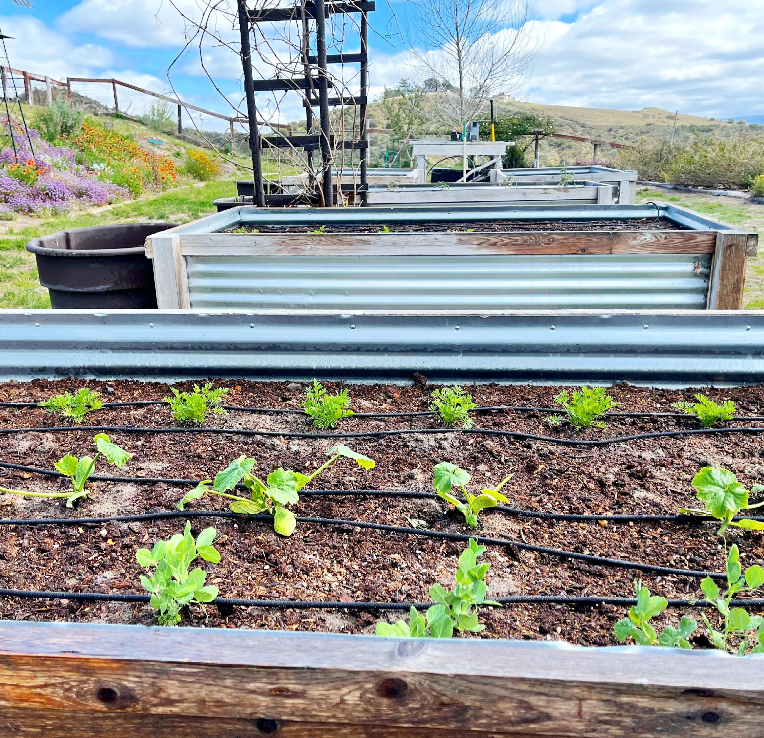 1833 Cougar Ridge Road Buellton, CA 93427 - Photo 45 of 53 7